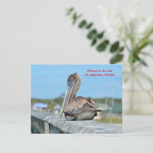 Cute Pelican Resing Briefkaart (Staand voorkant)