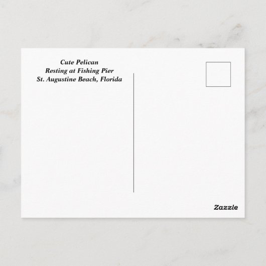 Cute Pelican Resing Briefkaart (Achterkant)