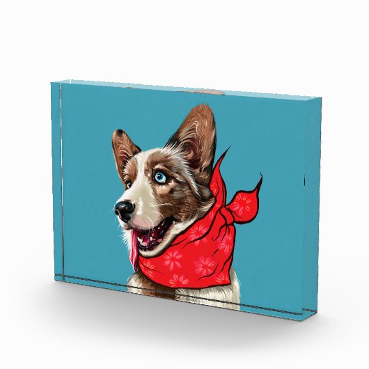 Cute Pembroke Welsh Corgi Fotoblokken (Rechts)