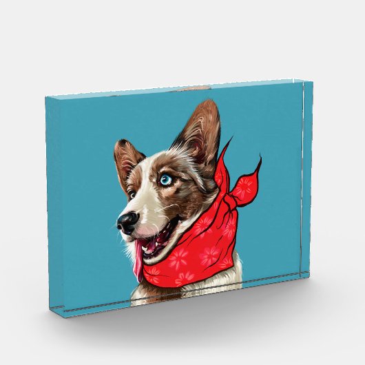 Cute Pembroke Welsh Corgi Fotoblokken (Links)