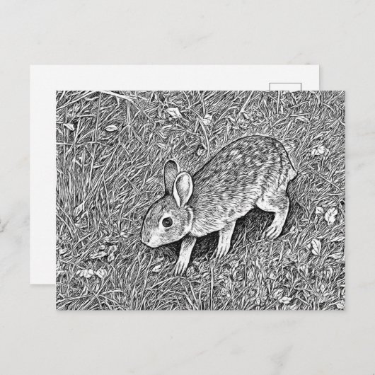 Cute pencil sketch bunny briefkaart (Voorkant / Achterkant)