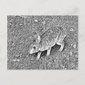 Cute pencil sketch bunny  briefkaart (Voorkant)