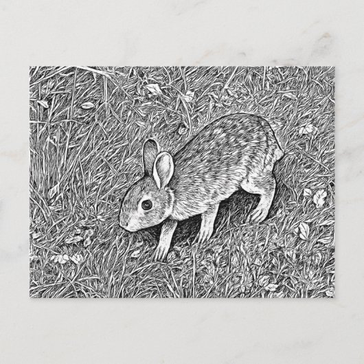 Cute pencil sketch bunny  briefkaart (Voorkant)