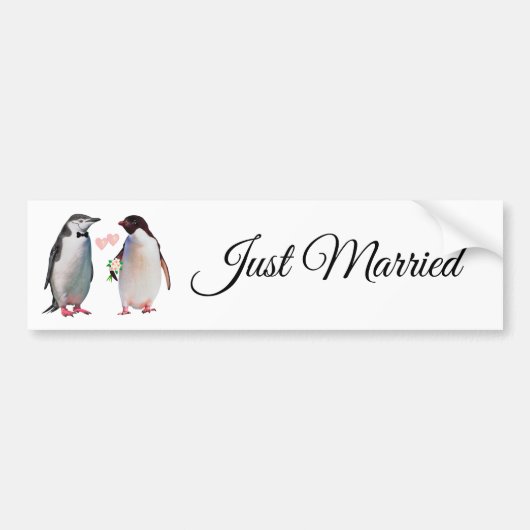 Cute Penguin Couple net gehuwde Bumpersticker (Voorkant)