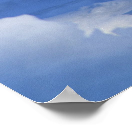 Cute Penguin Poster (Hoek)