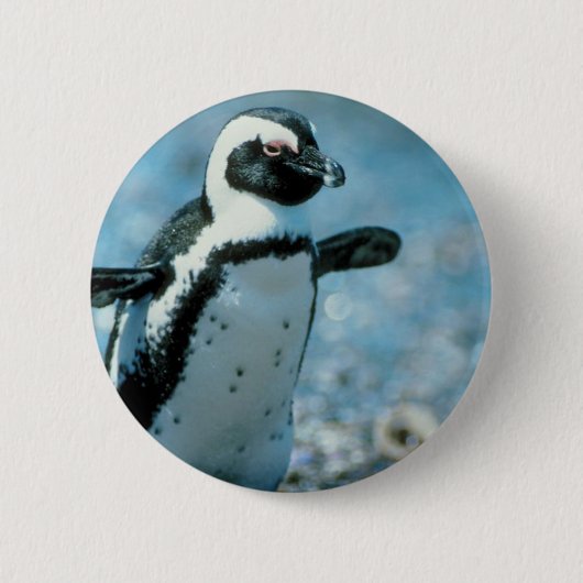 Cute Penguin Ronde Button 5,7 Cm (Voorkant)
