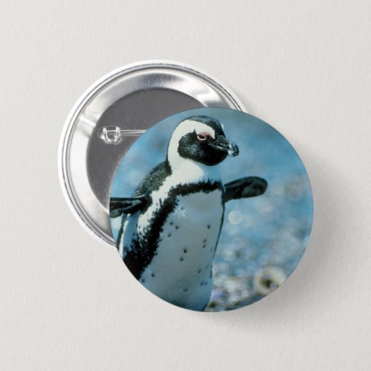 Cute Penguin Ronde Button 5,7 Cm (Voorkant /achterkant)