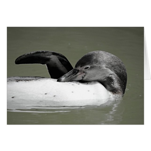 Cute Penguin Swimming Blank Kaart (Voorkant Horizontaal)