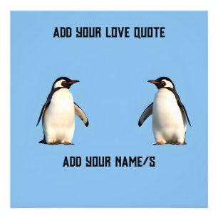 Cute Penguins Foto Afdruk