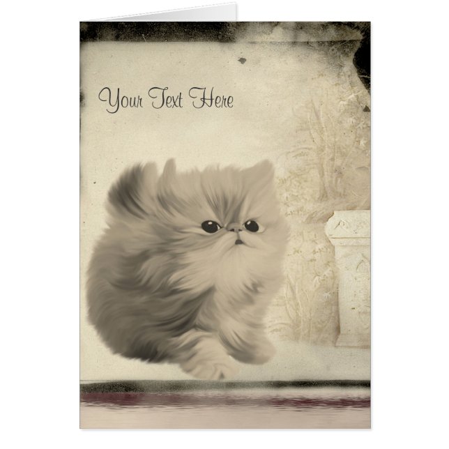 Cute Persian Kitten Card (Voorkant)