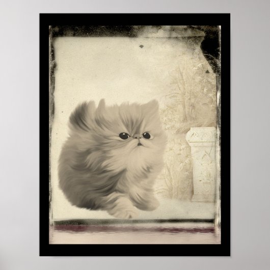 Cute Persian Kitten  look Poster (Voorkant)