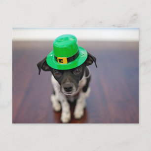 Cute Personalized St patrick's Day Chihuahua Dog Feestdagenkaart