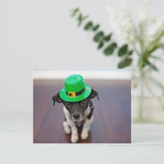Cute Personalized St patrick's Day Chihuahua Dog Feestdagenkaart (Staand voorkant)