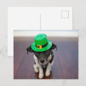 Cute Personalized St patrick's Day Chihuahua Dog Feestdagenkaart (Voorkant / Achterkant)