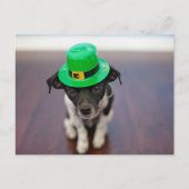 Cute Personalized St patrick's Day Chihuahua Dog Feestdagenkaart (Voorkant)
