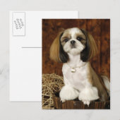 Cute Pet Animal Briefkaart (Voorkant / Achterkant)