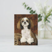Cute Pet Animal Briefkaart (Staand voorkant)