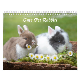 Cute Pet Bunny Rabbits Kalender