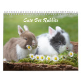 Cute Pet Bunny Rabbits Kalender (Hoes)