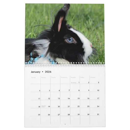 Cute Pet Bunny Rabbits Kalender (Jan 2026)
