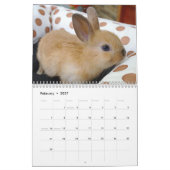 Cute Pet Bunny Rabbits Kalender (Feb 2027)