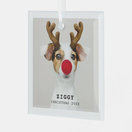 Cute Pet-kerstversiering Glas Ornament (Voorkant links)