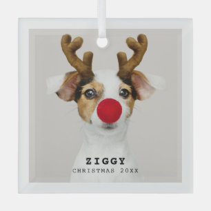 Cute Pet-kerstversiering Glas Ornament