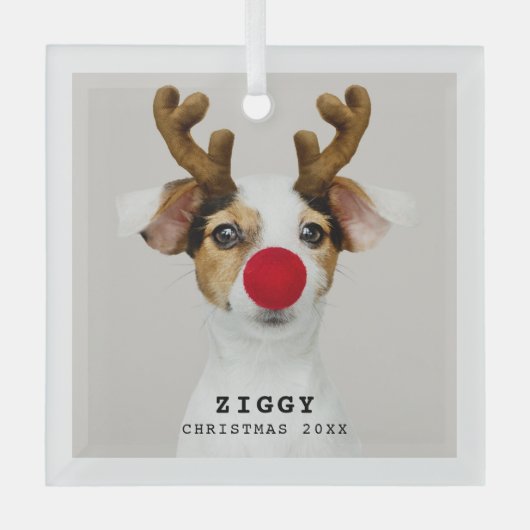 Cute Pet-kerstversiering Glas Ornament (Voorkant)