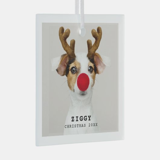 Cute Pet-kerstversiering Glas Ornament (Voorkant Rechts)
