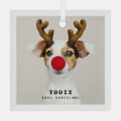 Cute Pet-kerstversiering Glas Ornament (Achterkant)