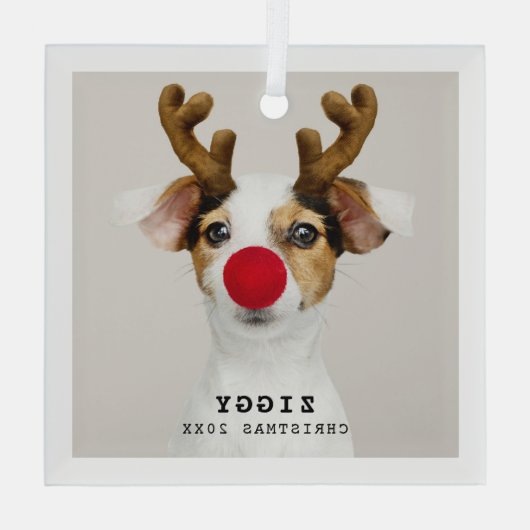 Cute Pet-kerstversiering Glas Ornament (Achterkant)