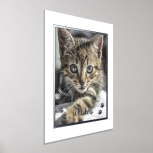 Cute Pet Lovers Persoonlijke katfoto Folie Afdrukken