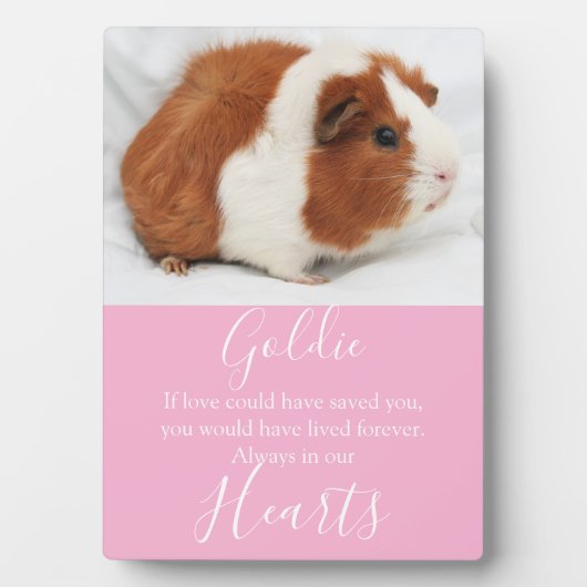 Cute Pet Memorial Fotoplaat (voorkant)