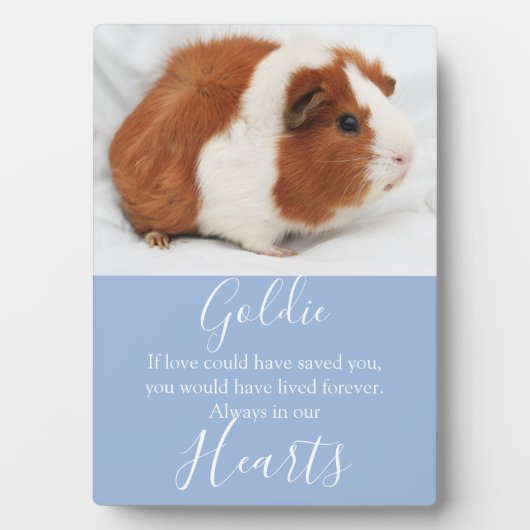 Cute Pet Memorial Fotoplaat (voorkant)