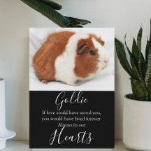 Cute Pet Memorial