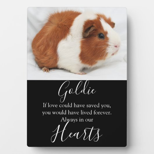 Cute Pet Memorial Fotoplaat (voorkant)