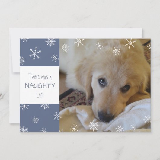 Cute Pet Naughty of Nice Snowflake Blue Feestdagenkaart (Voorkant)