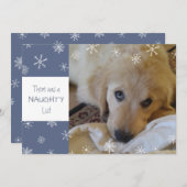 Cute Pet Naughty of Nice Snowflake Blue Feestdagenkaart (Voorkant / Achterkant)