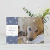 Cute Pet Naughty of Nice Snowflake Blue Feestdagenkaart (Staand voorkant)