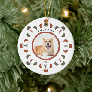 Cute Pet Photo Chili Red Moss Green Keramisch Ornament
