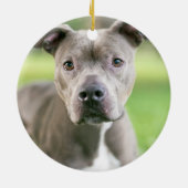 Cute Pet Photo Love Typography Script Keramisch Ornament (Achterkant)