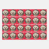 Cute Pet Photo Pattern Snowflakes Merry Kerstry Inpakpapier Vel (Voorkant)