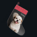 Cute Pet Photo Red White Snowflake Kleine Kerstsok<br><div class="desc">Vergeet geen voorraad voor je favoriete vriend dit kerstseizoen. Deze schattige voorraad heeft een rood wit sneeuwvlokpatroon. Geef uw huisdieren een persoonlijk tintje met foto's en namen.</div>