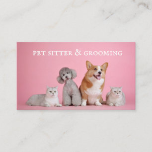 Cute Pet Sitter Dog Grooming Visitekaartje