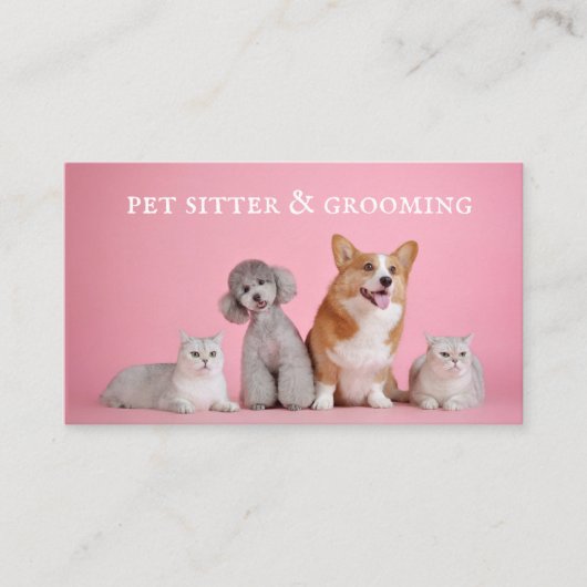 Cute Pet Sitter Dog Grooming Visitekaartje (Voorkant)