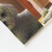 Cute Pet Warm Fleece Blanket (Hoek)