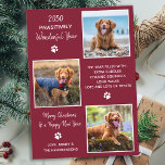 Cute Pet Year in Review Red Dog Photo Collage Feestdagenkaart<br><div class="desc">Introductie van onze nieuwste vakantie kaarten collectie, ideaal voor dierenvrienden en huisdiereigenaren! Onze "Passively Wonderful Year" kaarten tonen je harige familieleden op een leuke, moderne en grappige manier. Deze kaarten zijn stijlvol en feestelijk, met een fotocollage van uw familie huisdieren het hele jaar door. Onze kaarten zijn ontworpen om de...</div>