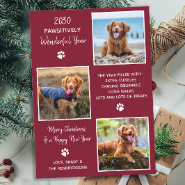 Cute Pet Year in Review Red Dog Photo Collage Feestdagenkaart