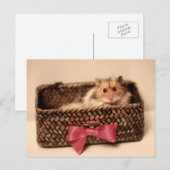 Cute PetL0ve briefkaart (Voorkant / Achterkant)