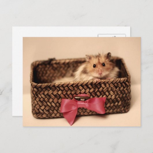 Cute PetL0ve briefkaart (Voorkant / Achterkant)